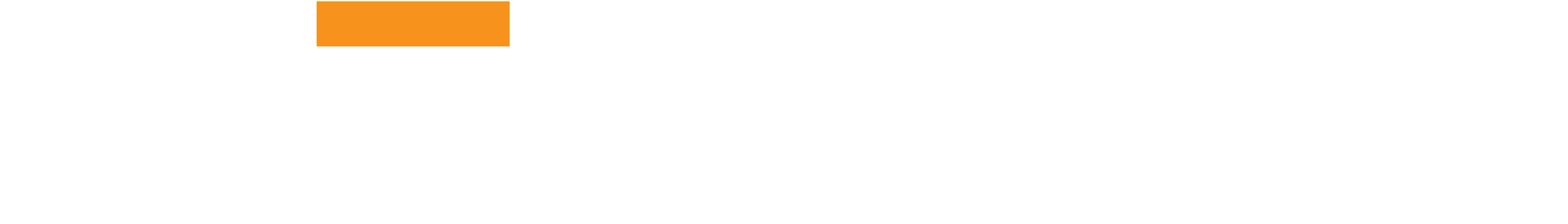 XENTRY Logo